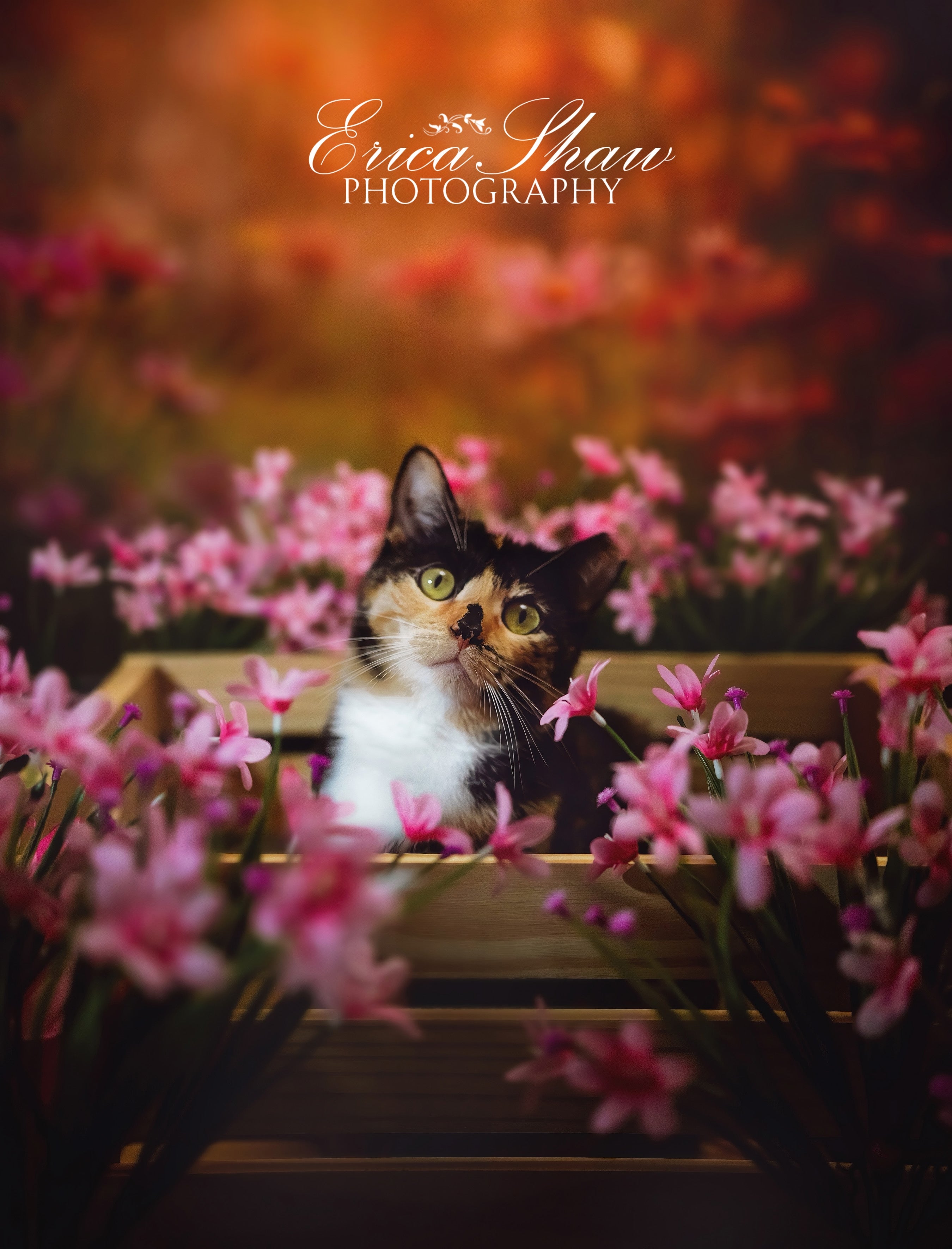 Kate Spring Sunshine Red Flower Backdrop Designed by Emetselch - Kate Backdrop AU