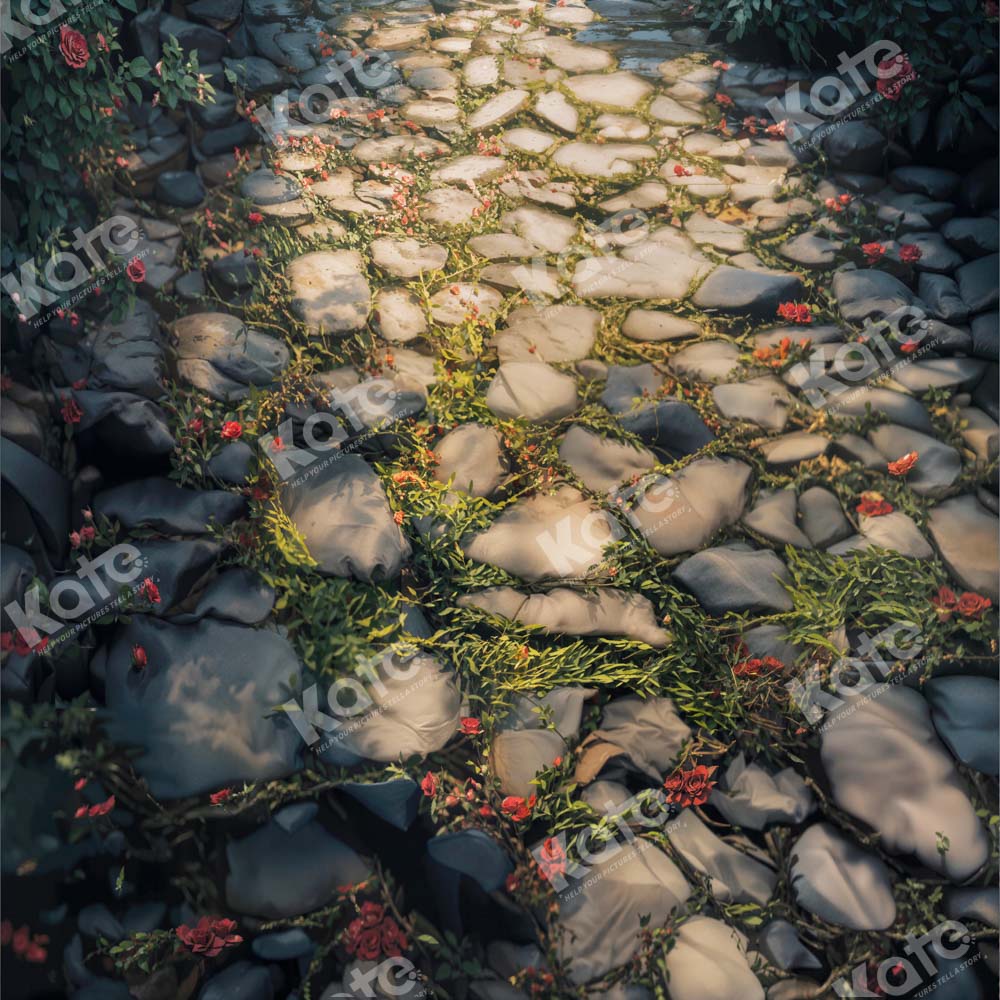 Kate Spring Stone Road Backdrop Designed by Kate Image - Kate Backdrop AU