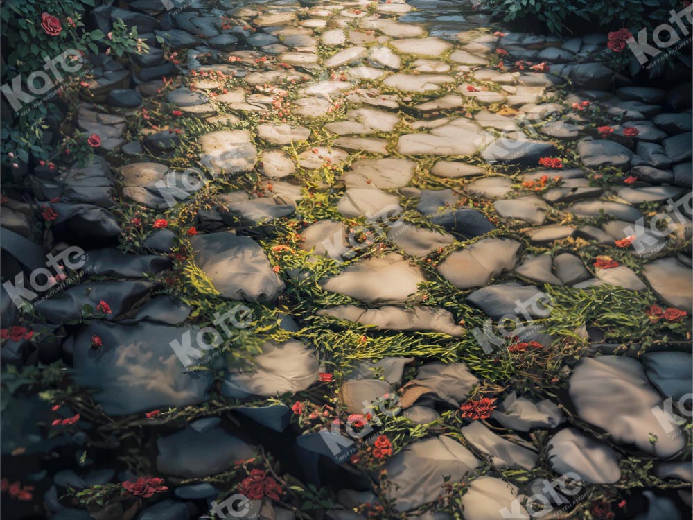 Kate Spring Stone Road Backdrop Designed by Kate Image - Kate Backdrop AU