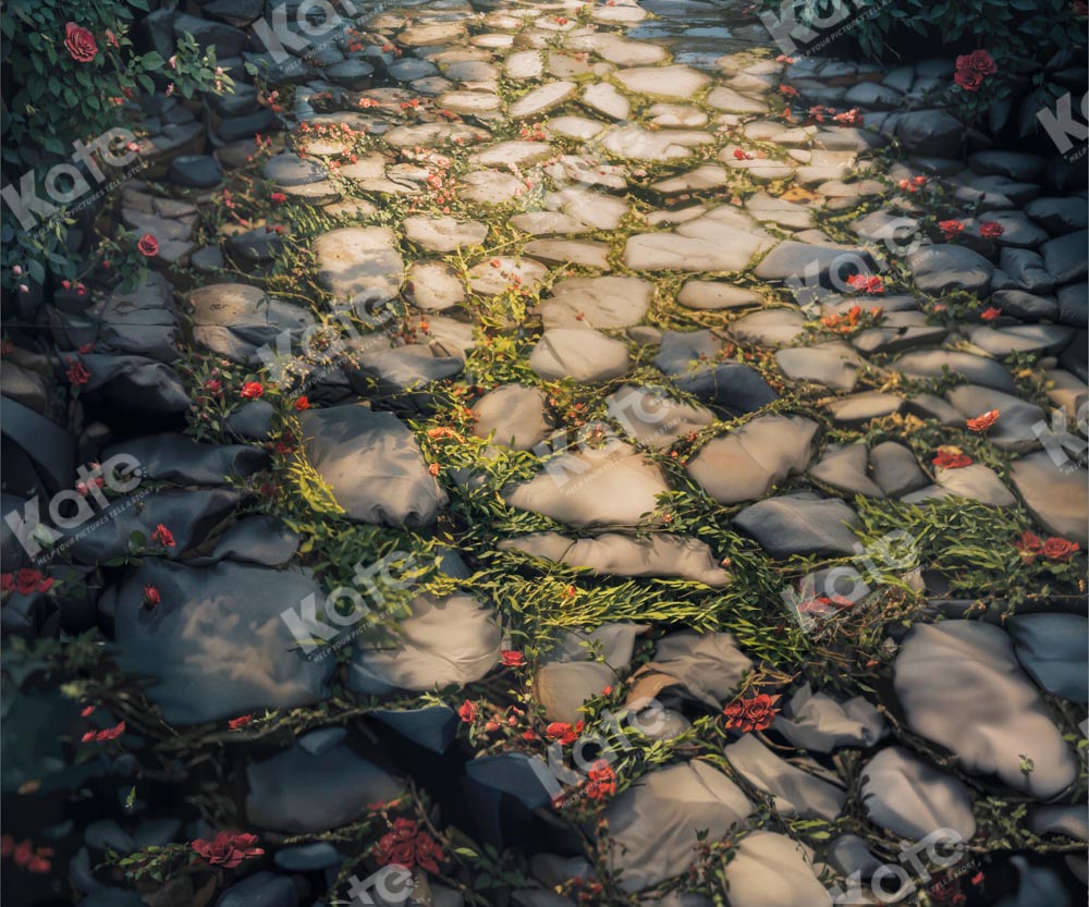 Kate Spring Stone Road Backdrop Designed by Kate Image - Kate Backdrop AU