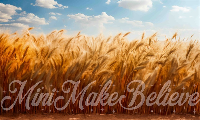 Kate Fine Art Soft Painted Boho Wheat Field Blue Skies- Backdrop Designed by Mini MakeBelieve - Kate Backdrop AU