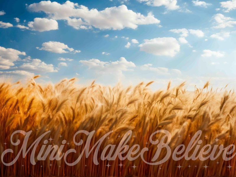 Kate Fine Art Soft Painted Boho Wheat Field Blue Skies- Backdrop Designed by Mini MakeBelieve - Kate Backdrop AU