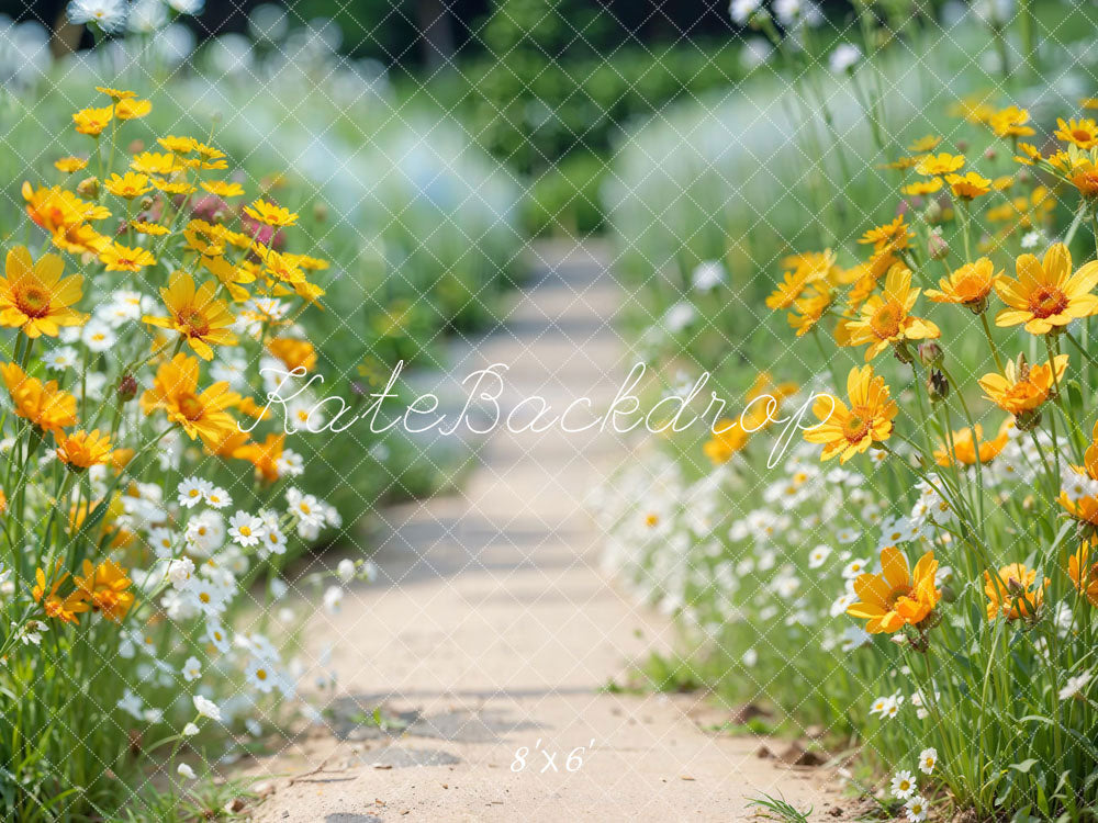 Kate Spring Flower Path Backdrop Designed by Emetselch - Kate Backdrop AU