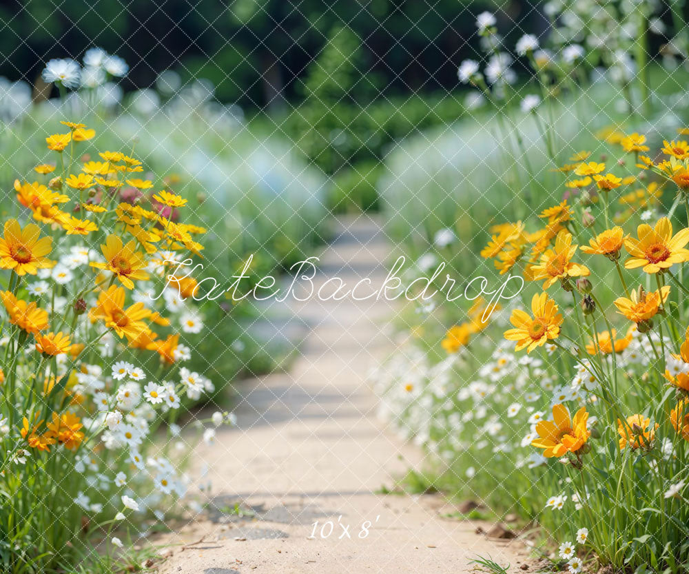 Kate Spring Flower Path Backdrop Designed by Emetselch - Kate Backdrop AU