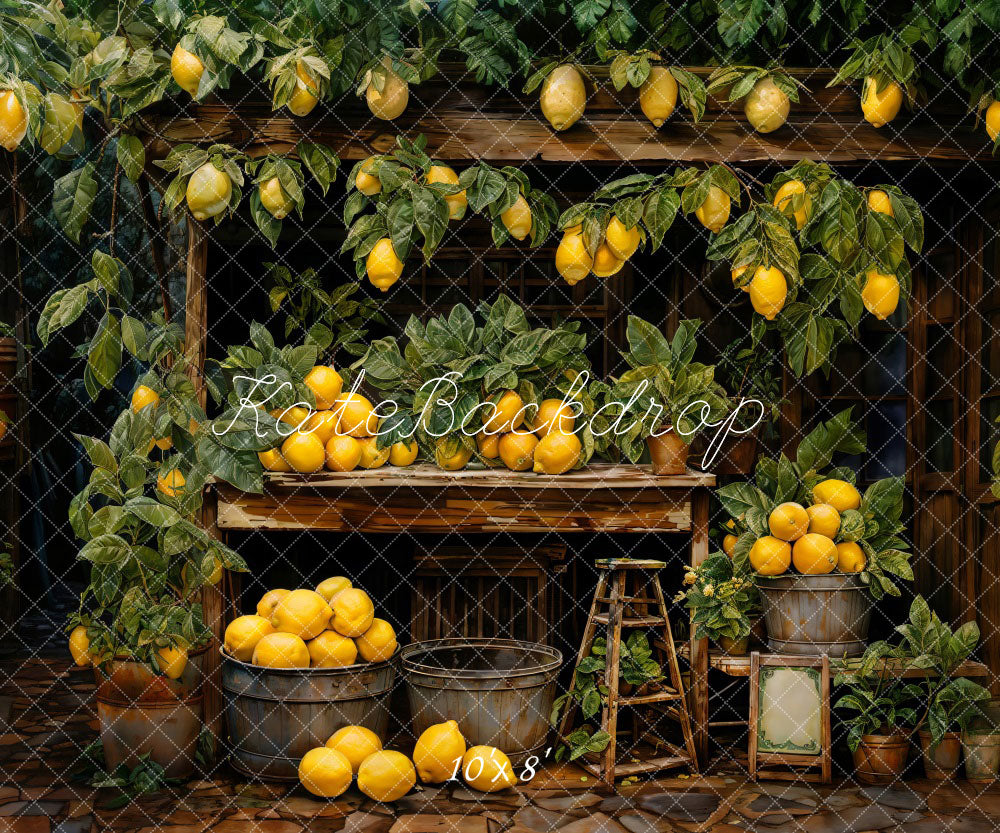 Kate Spring Lemon Warehouse Backdrop Designed by Emetselch - Kate Backdrop AU