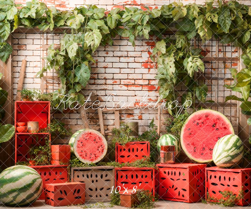 Kate Summer Brick Wall Watermelon Backdrop Designed by Emetselch - Kate Backdrop AU
