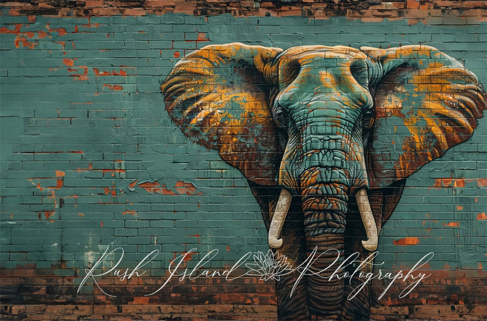 Kate Elephant Wall Backdrop Designed by Laura Bybee - Kate Backdrop AU