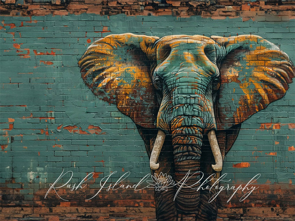 Kate Elephant Wall Backdrop Designed by Laura Bybee - Kate Backdrop AU
