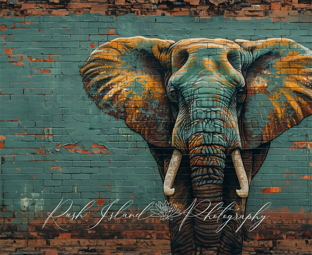 Kate Elephant Wall Backdrop Designed by Laura Bybee - Kate Backdrop AU