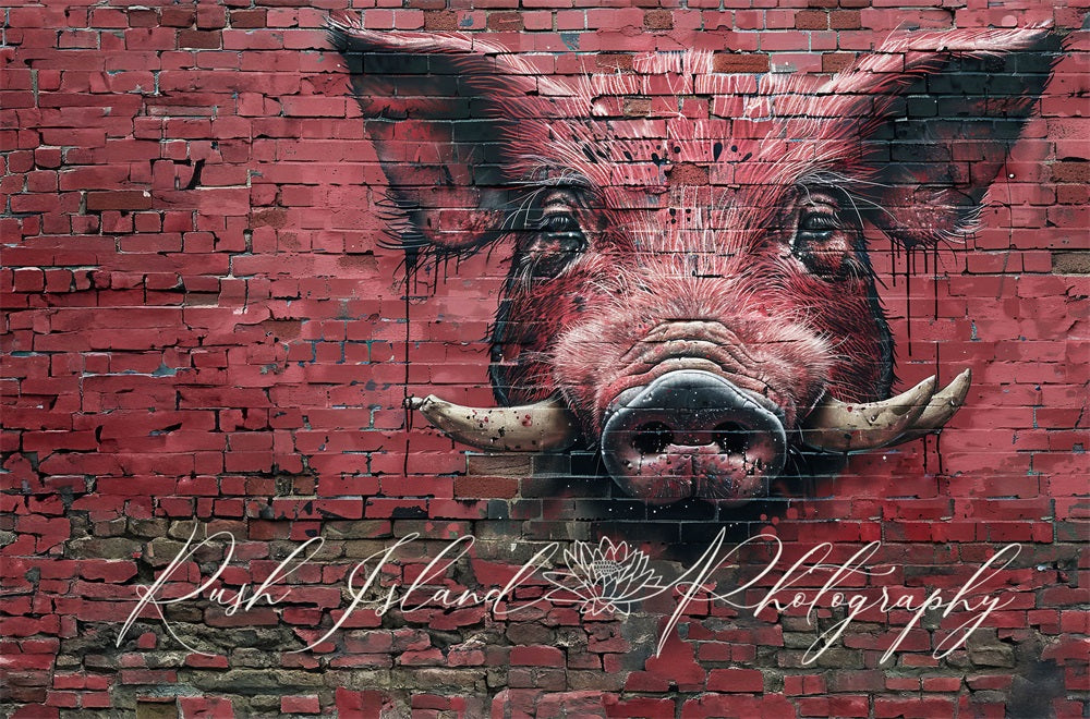 Kate Razorback Hog Brick Wall Backdrop Designed by Laura Bybee