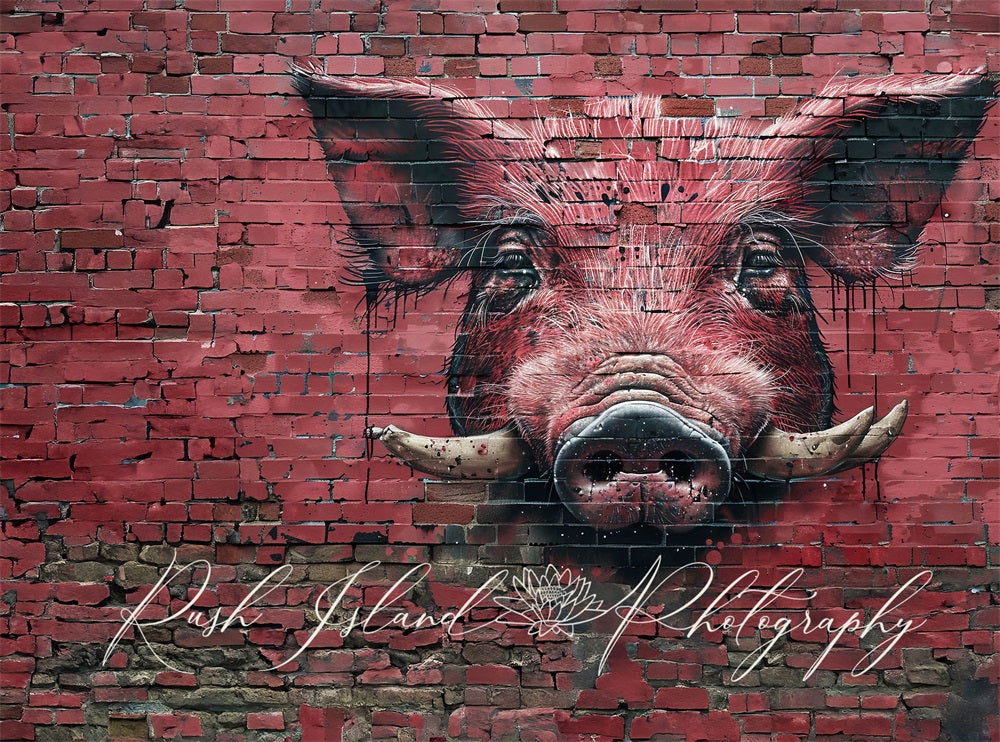 Kate Razorback Hog Brick Wall Backdrop Designed by Laura Bybee