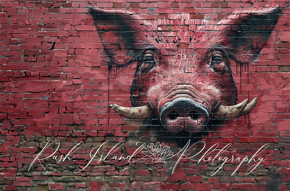 Kate Razorback Hog Brick Wall Backdrop Designed by Laura Bybee