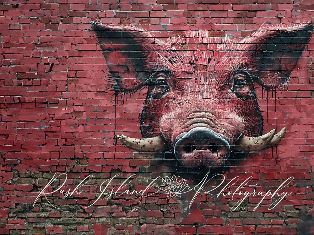 Kate Razorback Hog Brick Wall Backdrop Designed by Laura Bybee