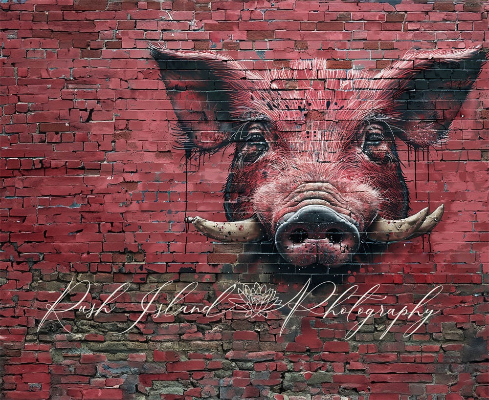 Kate Razorback Hog Brick Wall Backdrop Designed by Laura Bybee