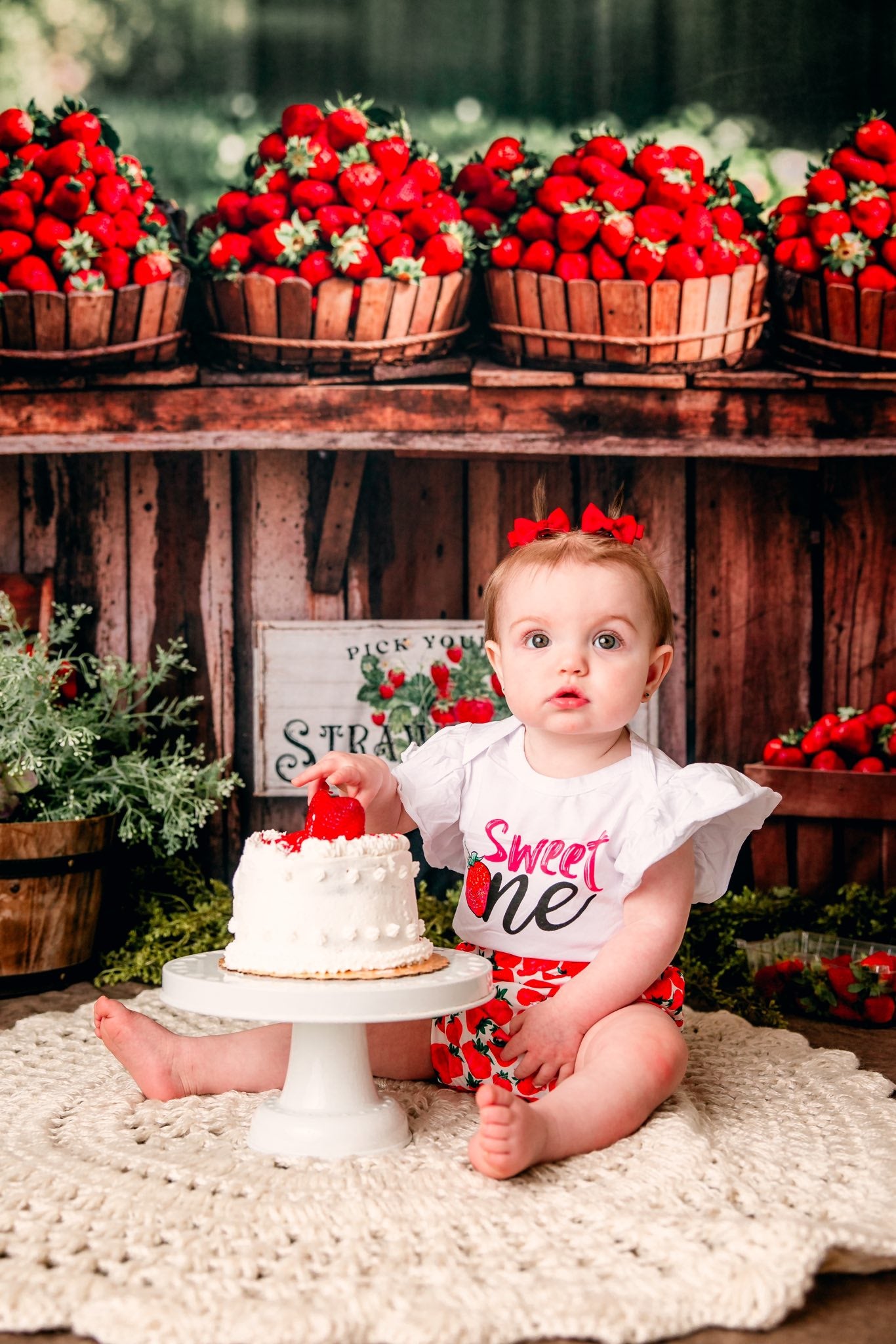 Kate Summer Backdrop Red Strawberry Stand Designed by Emetselch - Kate Backdrop AU