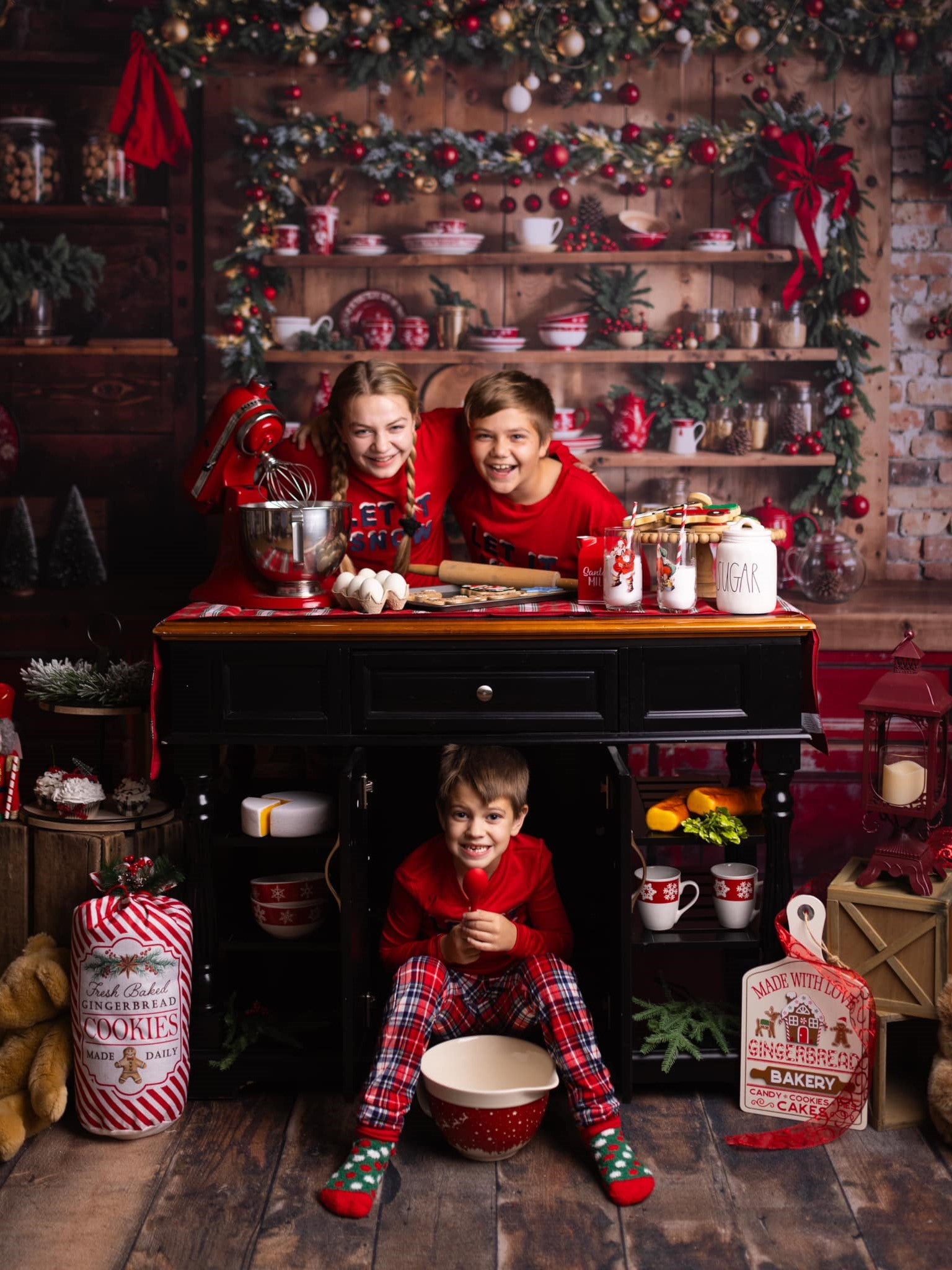 Kate Christmas Cupboard Backdrop+Wood Grain Floor Backdrop - Kate Backdrop AU
