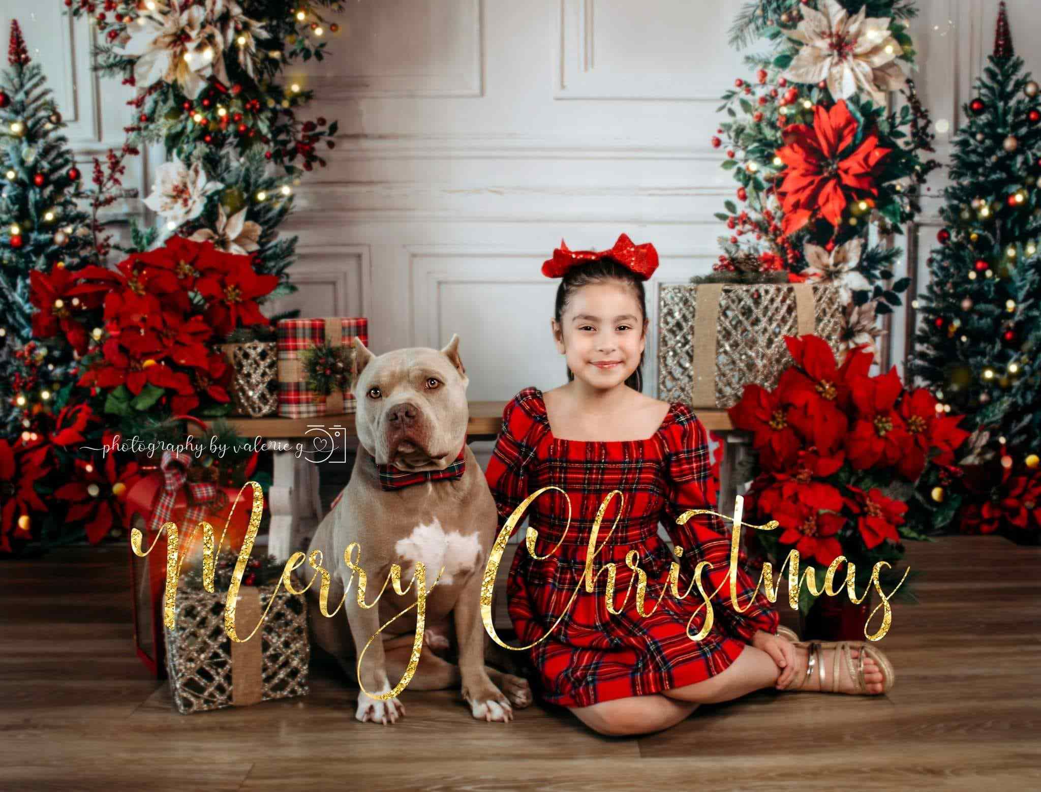 Kate Christmas Flower Arch White Wall Backdrop Designed by Emetselch - Kate Backdrop AU