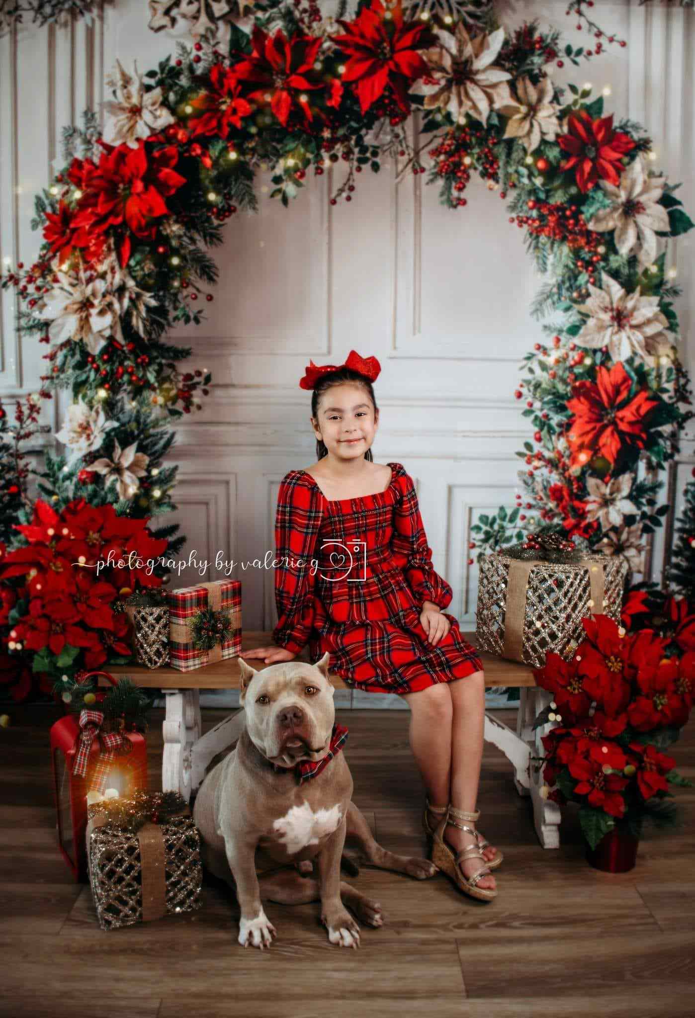 Kate Christmas Flower Arch White Wall Backdrop Designed by Emetselch - Kate Backdrop AU
