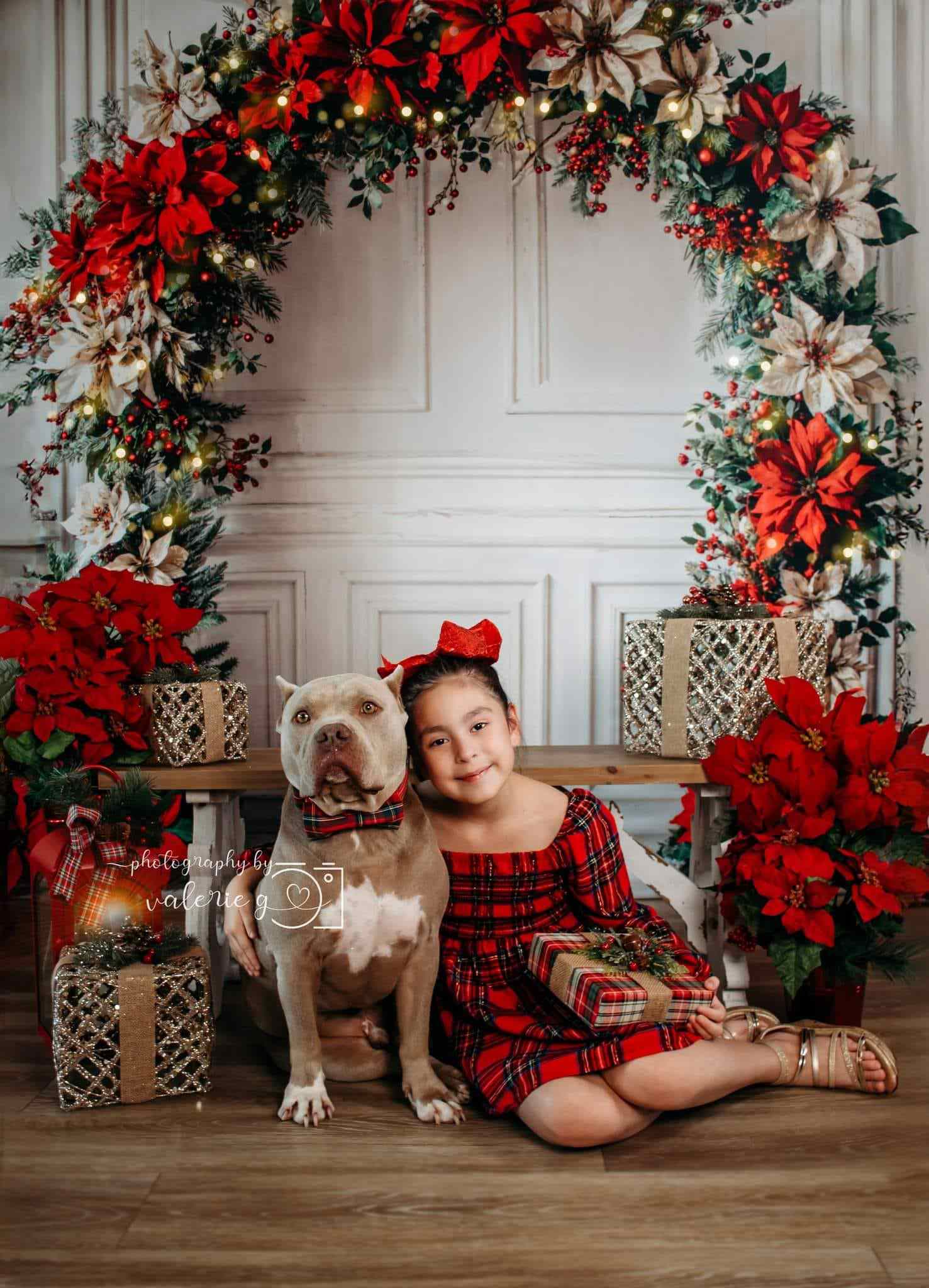 Kate Christmas Flower Arch White Wall Backdrop Designed by Emetselch - Kate Backdrop AU