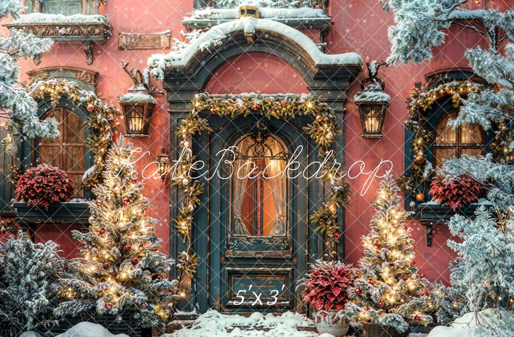 Kate Winter Christmas Door Backdrop Designed by Chain Photography - Kate Backdrop AU