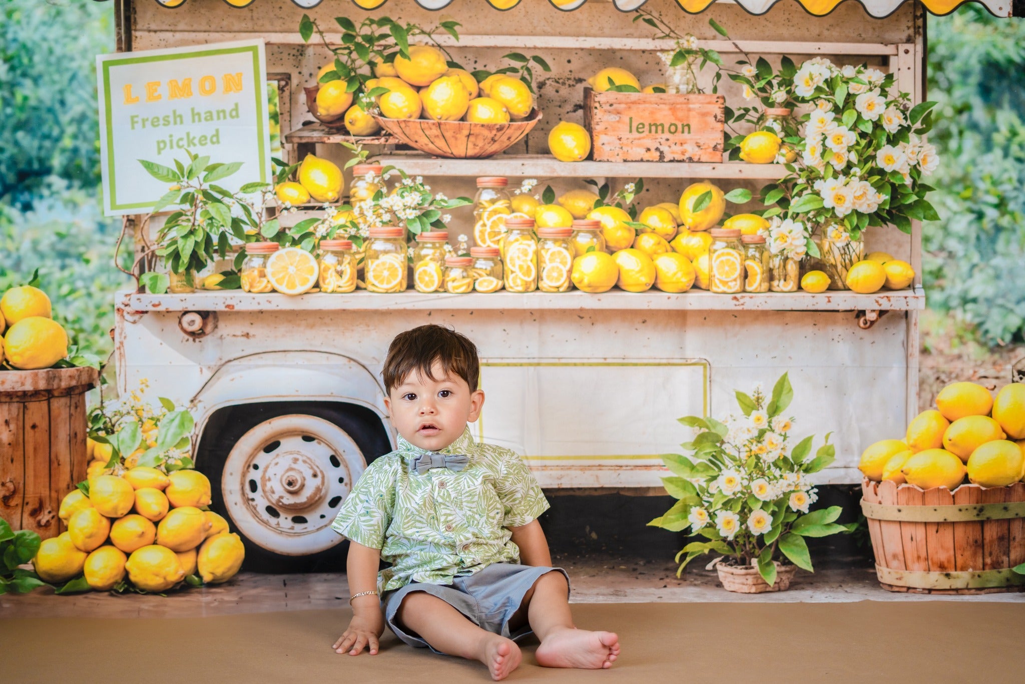 Kate Summer Yellow Lemon Stand Backdrop for Photography