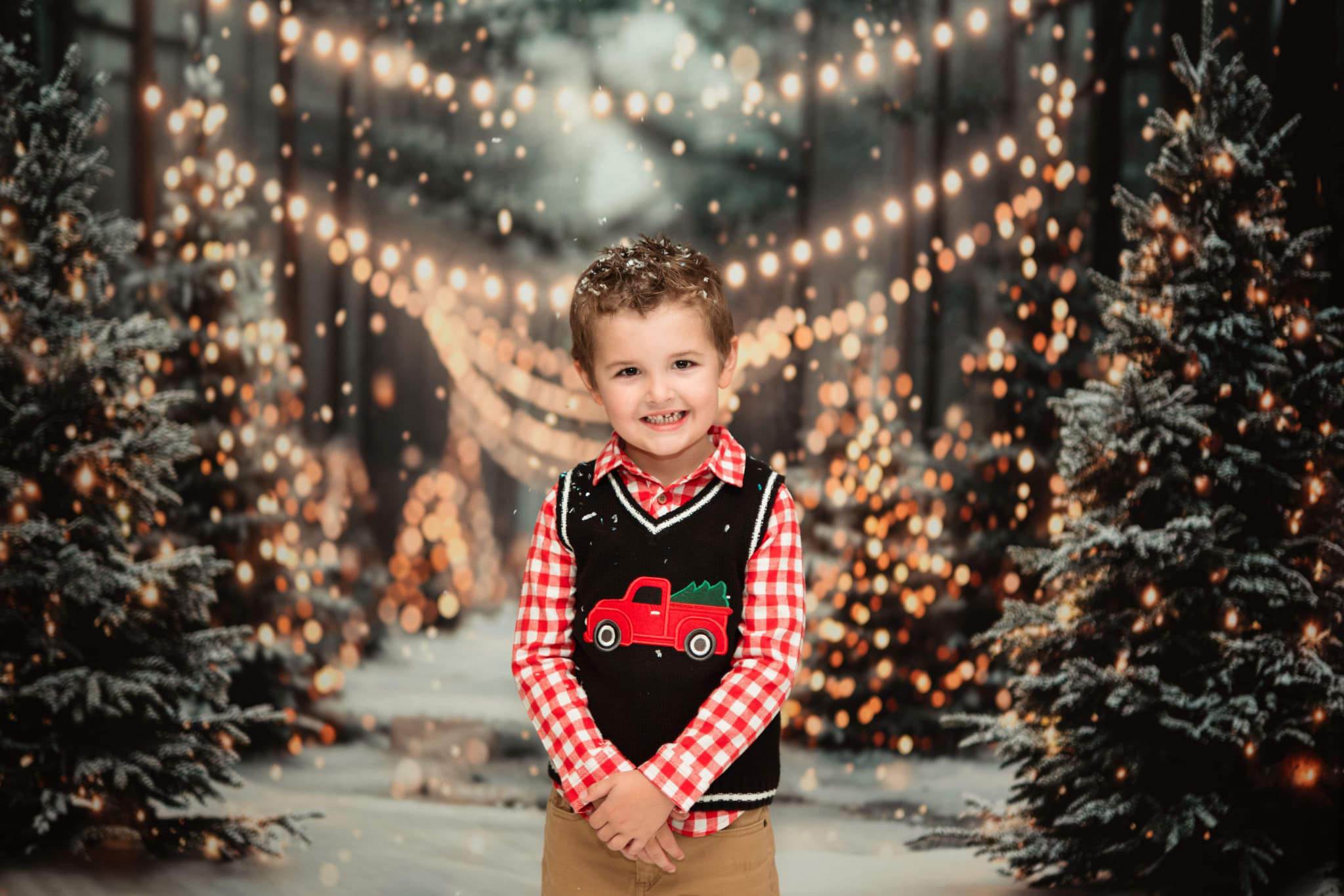 Kate Winter Christmas Bokeh Backdrop Designed by Emetselch - Kate Backdrop AU