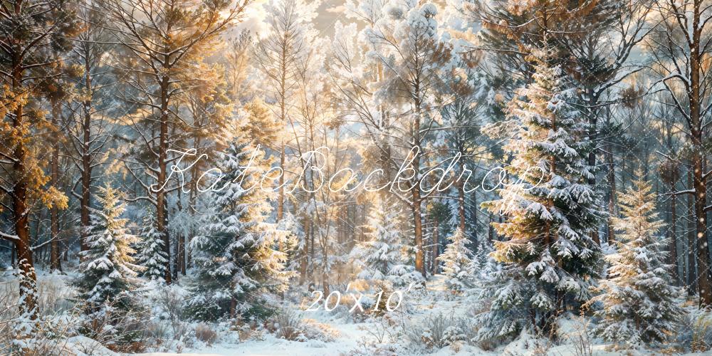 Kate Winter Snow Pine Forest Backdrop Designed by Chain Photography - Kate Backdrop AU