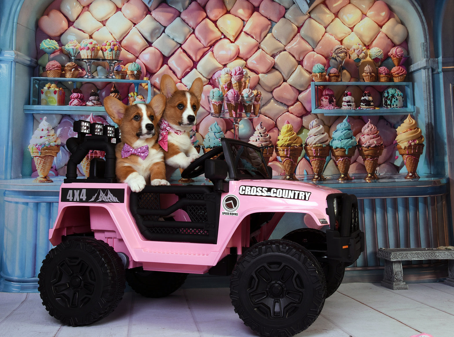 Kate Colorful Ice Cream Store Backdrop Designed by Chain Photography - Kate Backdrop AU