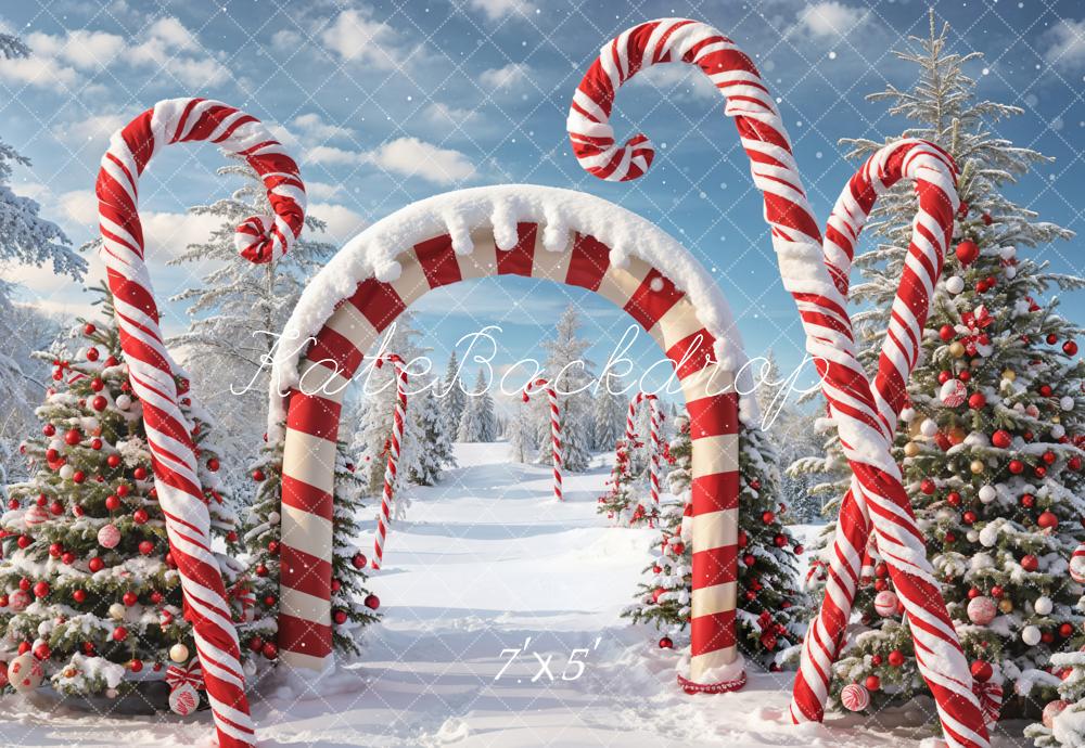 Kate Snow Forest Backdrop Red White Striped Arch Designed by Chain Photography - Kate Backdrop AU