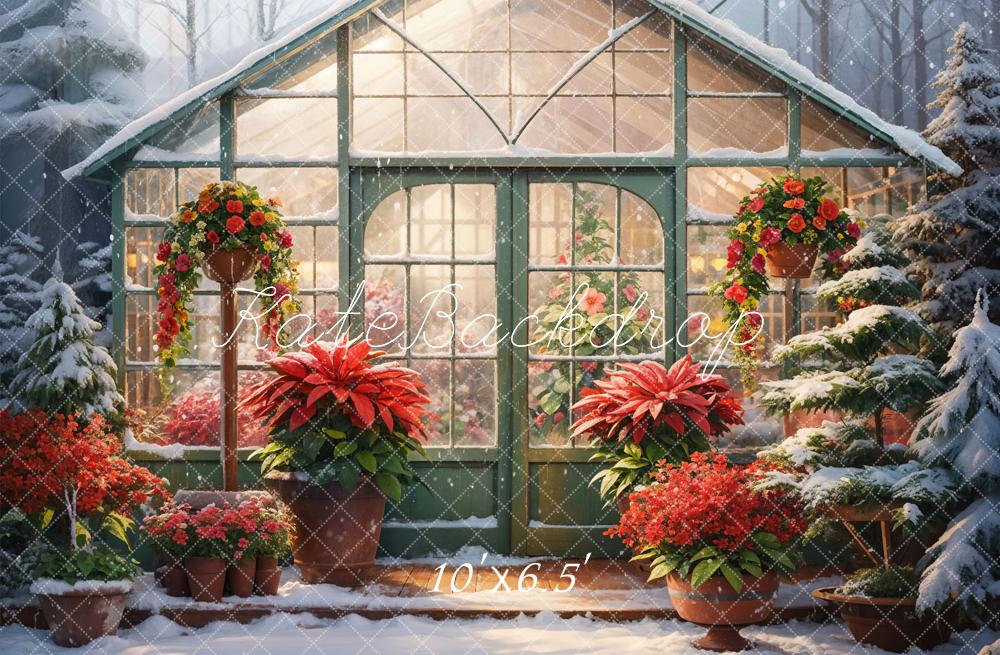 Kate Winter Snow Red Flower Greenhouse Backdrop Designed by GQ - Kate Backdrop AU