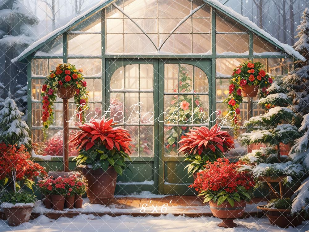 Kate Winter Snow Red Flower Greenhouse Backdrop Designed by GQ - Kate Backdrop AU