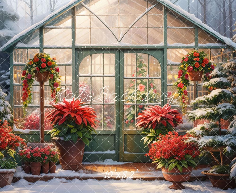 Kate Winter Snow Red Flower Greenhouse Backdrop Designed by GQ - Kate Backdrop AU