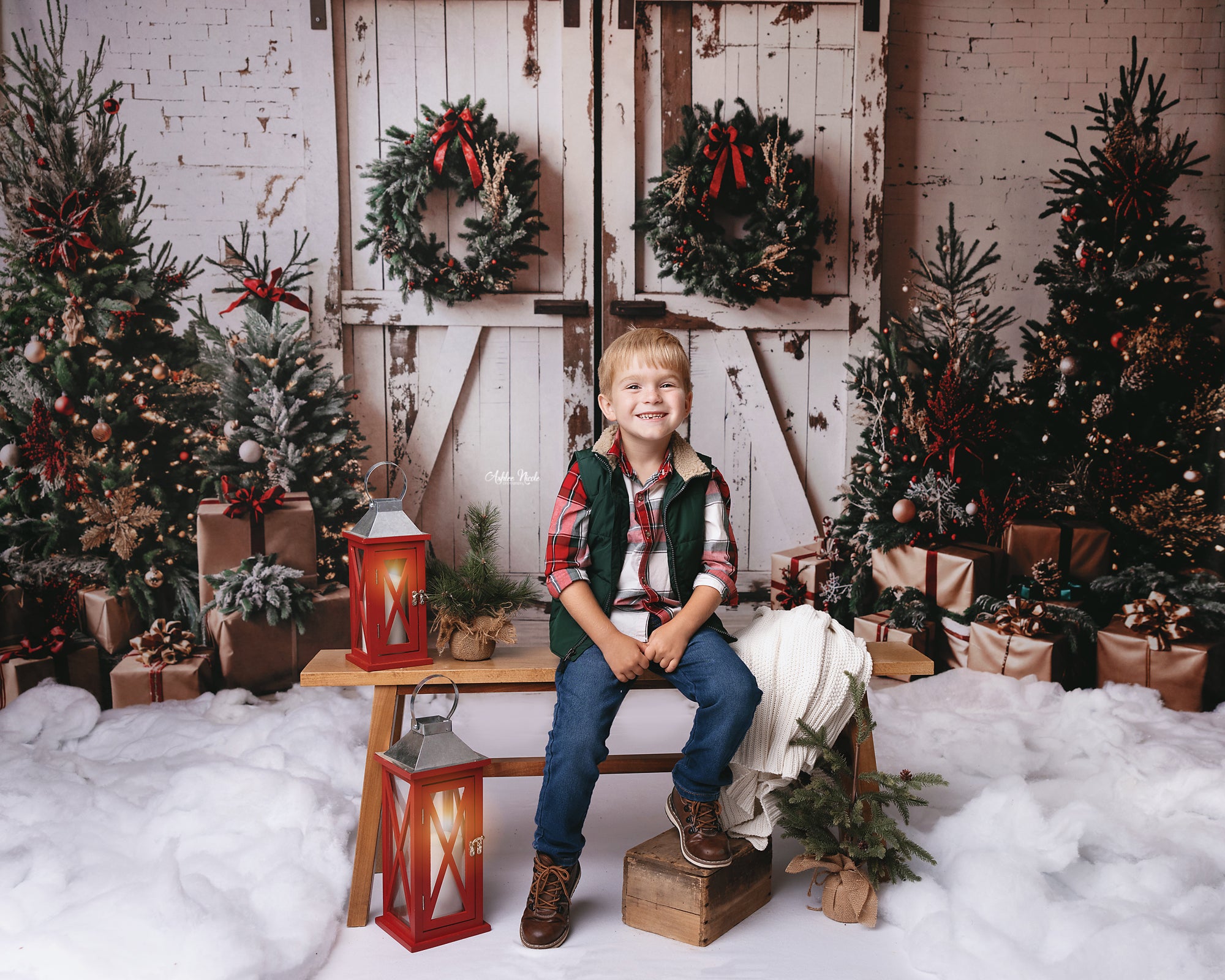 Kate Christmas Backdrop White Shabby Barn Door Designed by Emetselch - Kate Backdrop AU