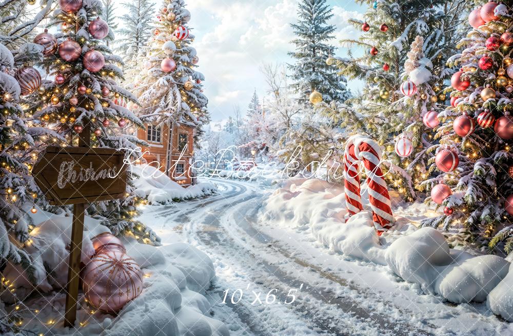 LONSALE Kate Christmas Outdoor Forest Path Backdrop Designed by Emetselch - Kate Backdrop AU
