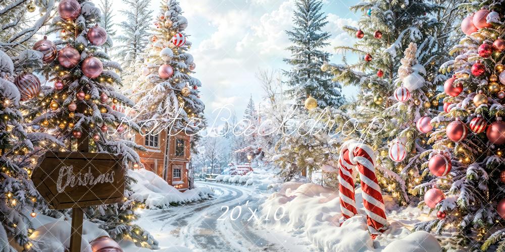 LONSALE Kate Christmas Outdoor Forest Path Backdrop Designed by Emetselch - Kate Backdrop AU