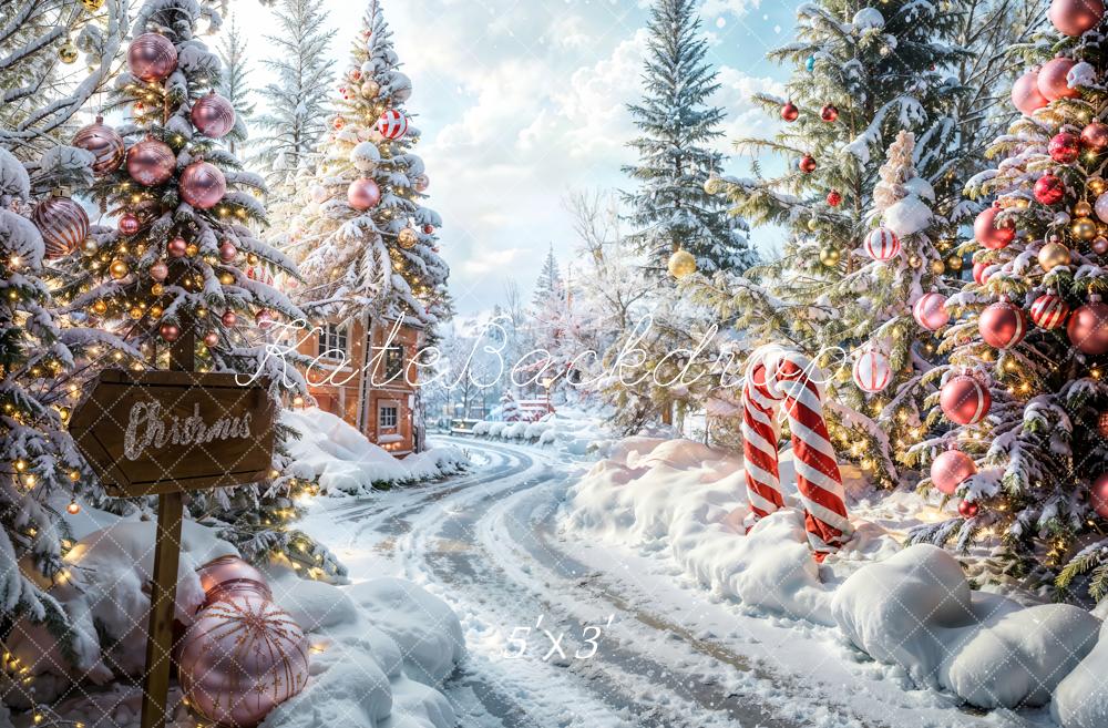 LONSALE Kate Christmas Outdoor Forest Path Backdrop Designed by Emetselch - Kate Backdrop AU