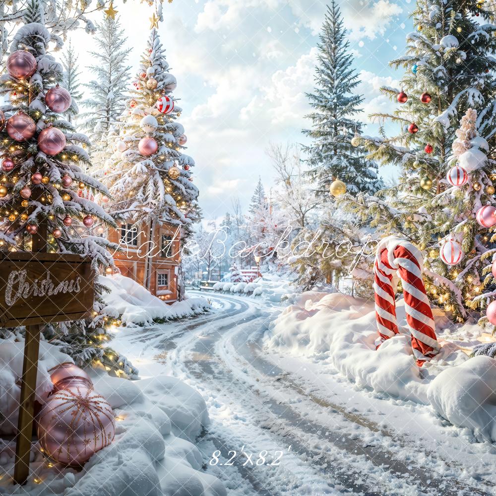 LONSALE Kate Christmas Outdoor Forest Path Backdrop Designed by Emetselch - Kate Backdrop AU