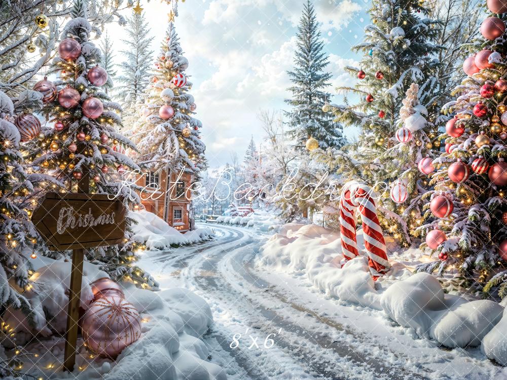 LONSALE Kate Christmas Outdoor Forest Path Backdrop Designed by Emetselch - Kate Backdrop AU
