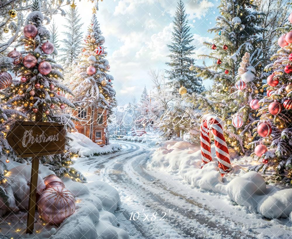 LONSALE Kate Christmas Outdoor Forest Path Backdrop Designed by Emetselch - Kate Backdrop AU