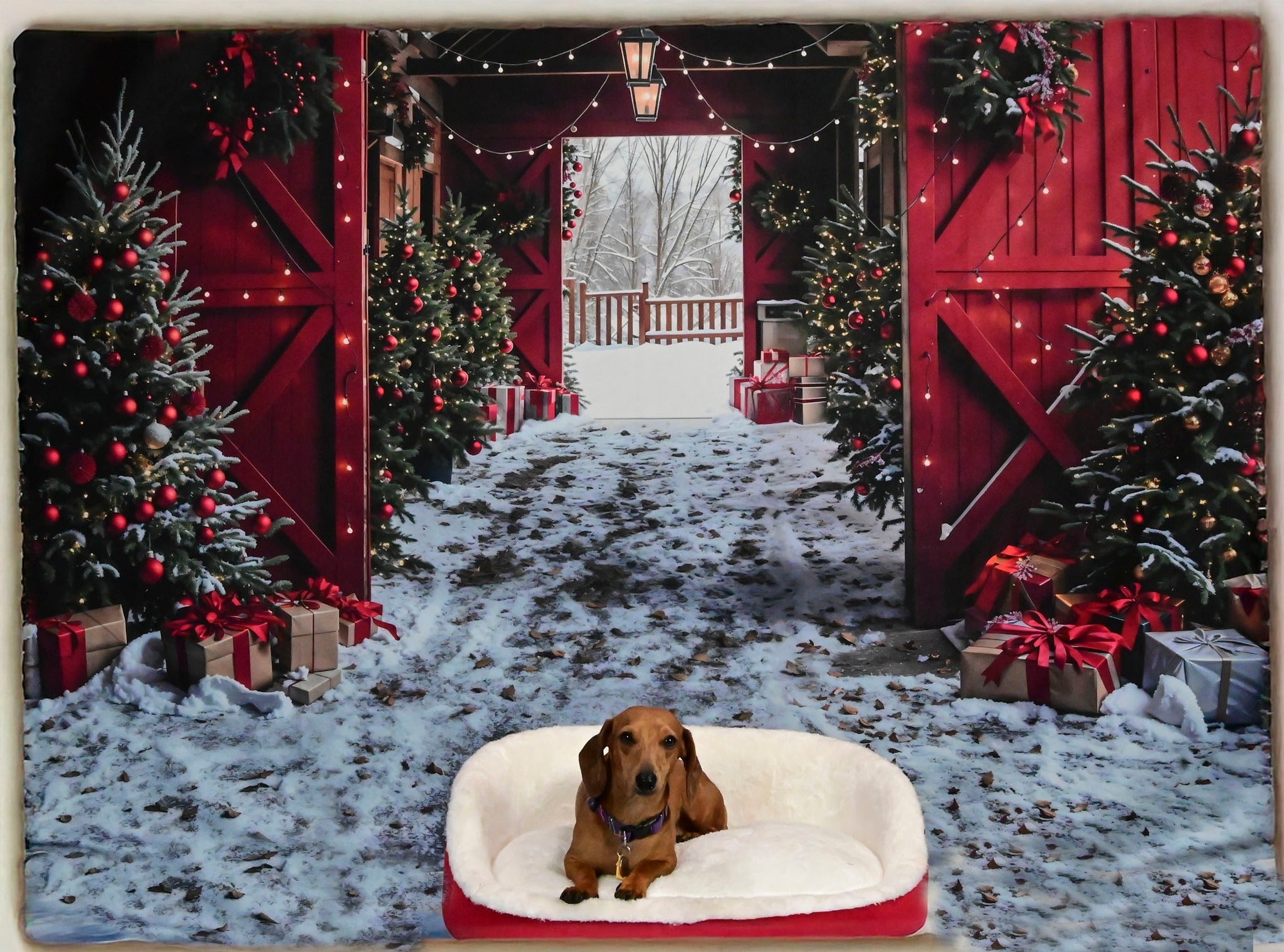 Kate Winter Red Log House Christmas Tree Backdrop Designed by Emetselch - Kate Backdrop AU