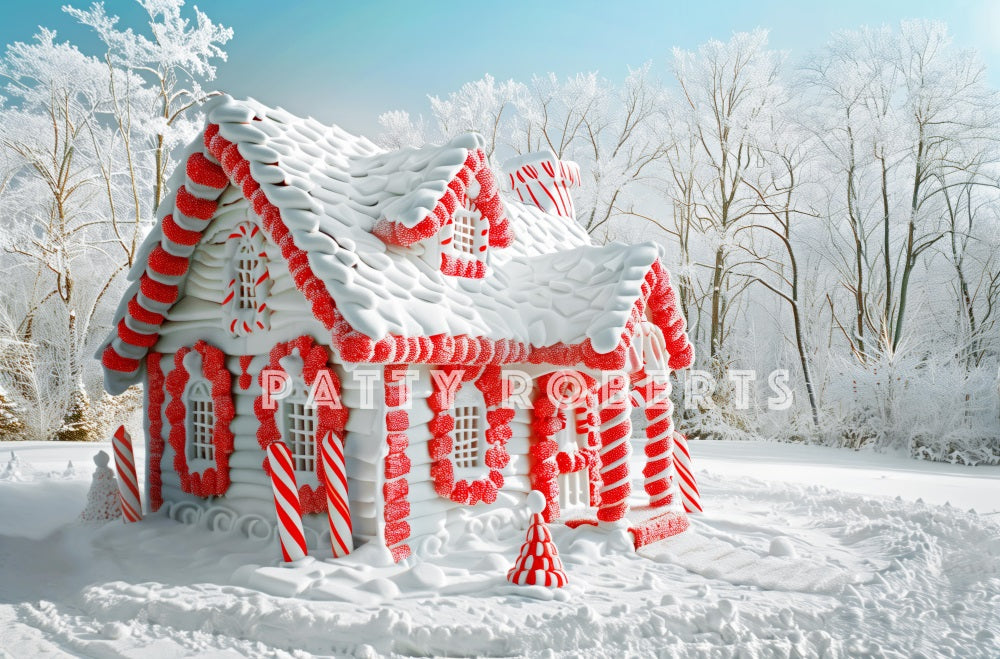 Kate Snow Covered Christmas House Backdrop Designed by Patty Robert - Kate Backdrop AU