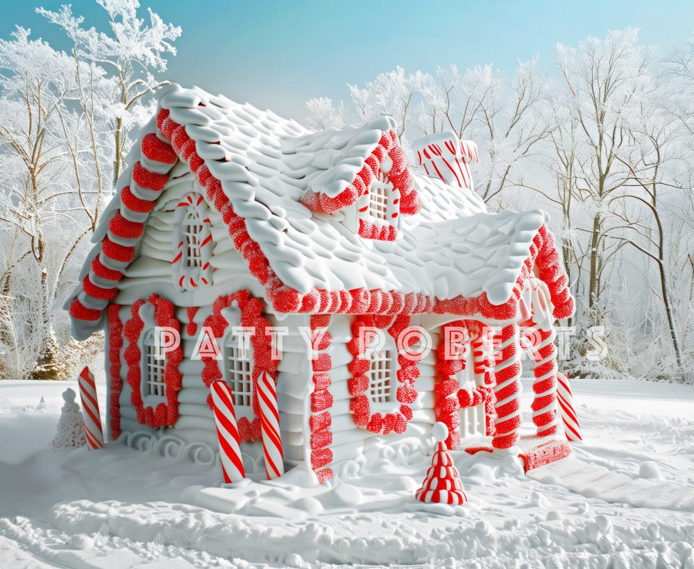 Kate Snow Covered Christmas House Backdrop Designed by Patty Robert - Kate Backdrop AU