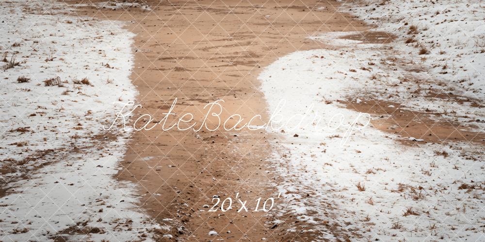 Kate Winter Snowy Path Backdrop Designed by Emetselch - Kate Backdrop AU