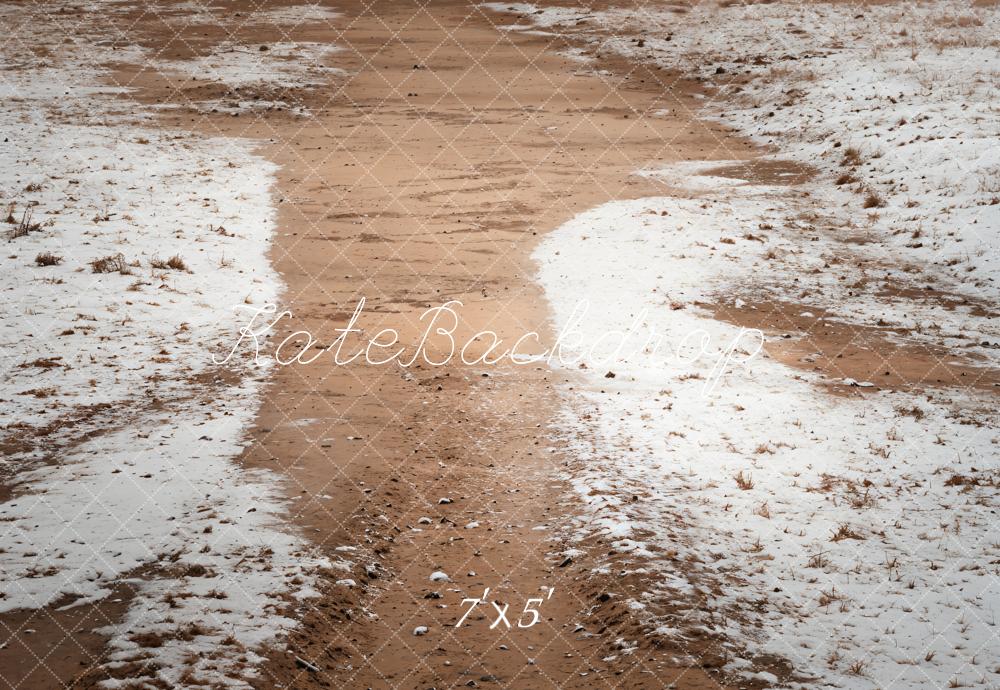 Kate Winter Snowy Path Backdrop Designed by Emetselch - Kate Backdrop AU