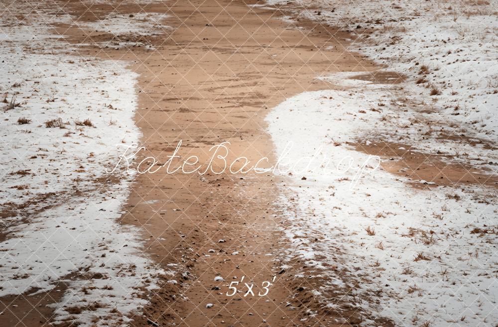 Kate Winter Snowy Path Backdrop Designed by Emetselch - Kate Backdrop AU