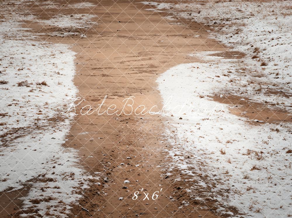 Kate Winter Snowy Path Backdrop Designed by Emetselch - Kate Backdrop AU