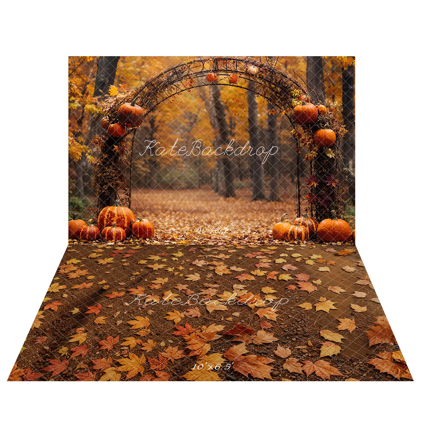 Kate Autumn Arched Woods Pumpkins Backdrop+Fallen Leaves Floor Backdrop - Kate Backdrop AU