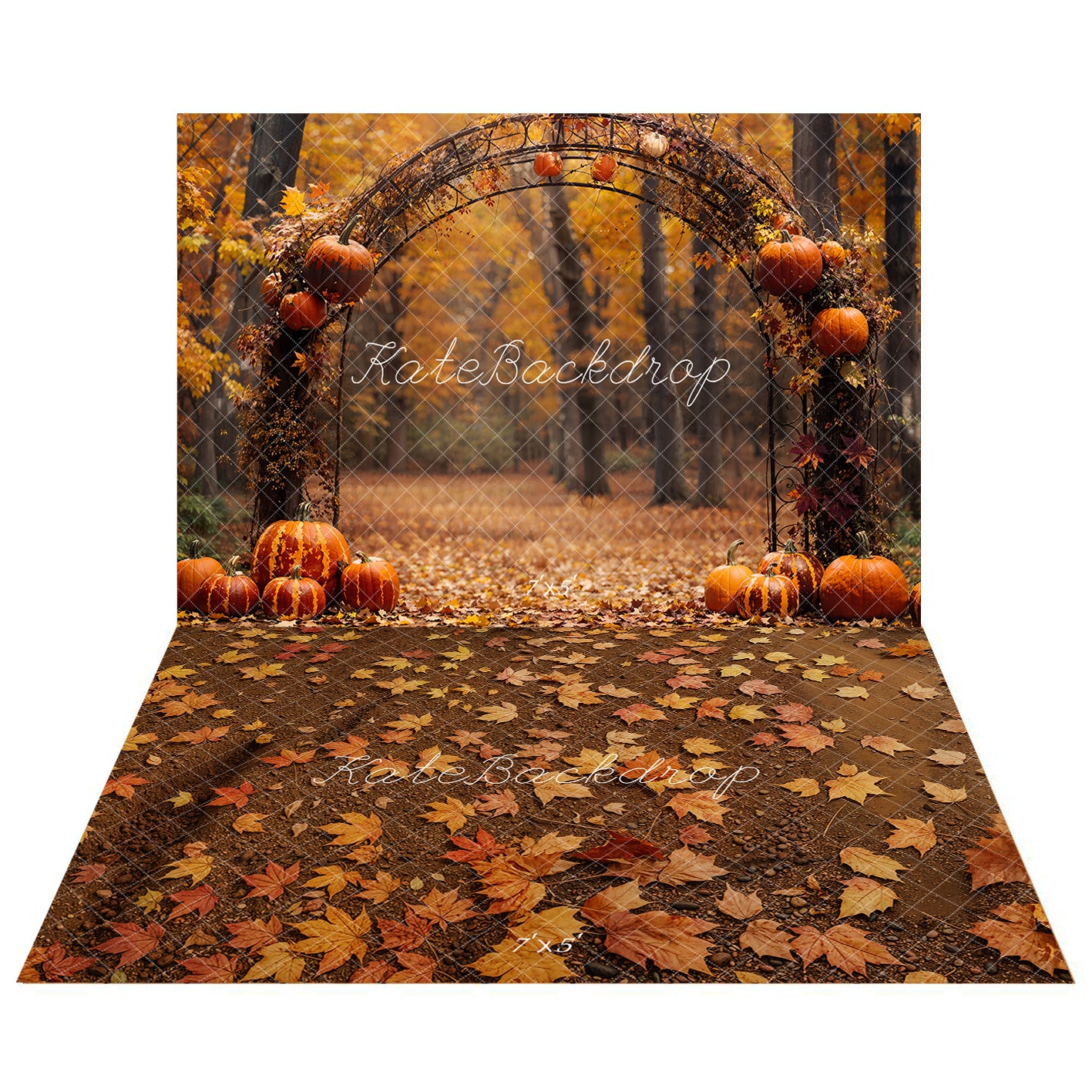 Kate Autumn Arched Woods Pumpkins Backdrop+Fallen Leaves Floor Backdrop - Kate Backdrop AU
