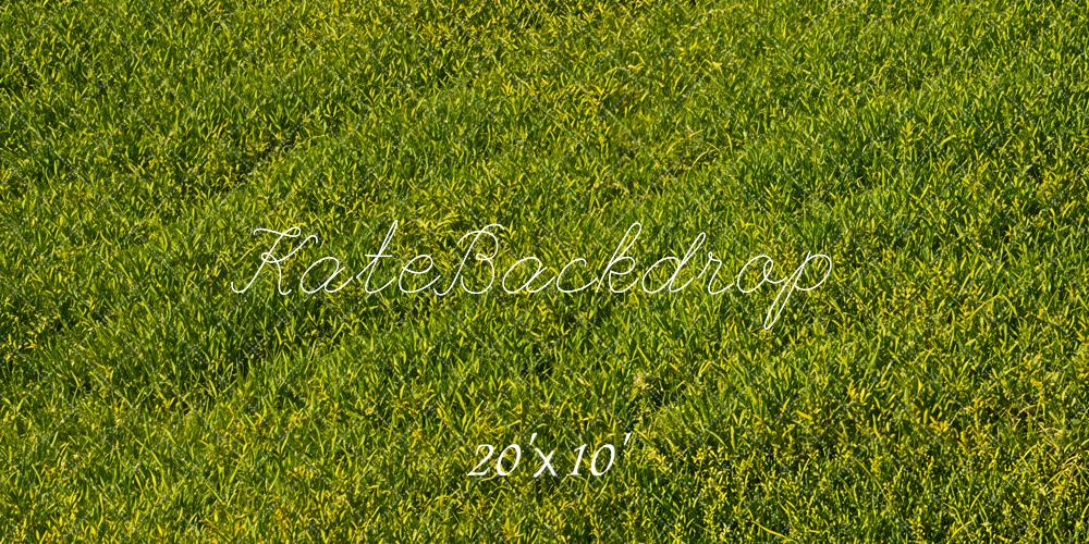 Kate Green Grass Field Floor Backdrop Designed by Emetselch - Kate Backdrop AU