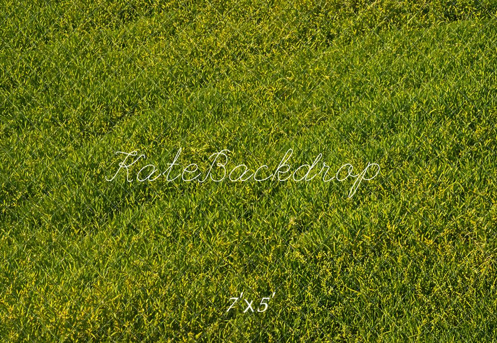 Kate Green Grass Field Floor Backdrop Designed by Emetselch - Kate Backdrop AU